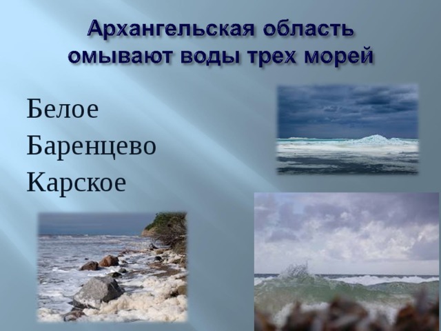 Белое Баренцево Карское 