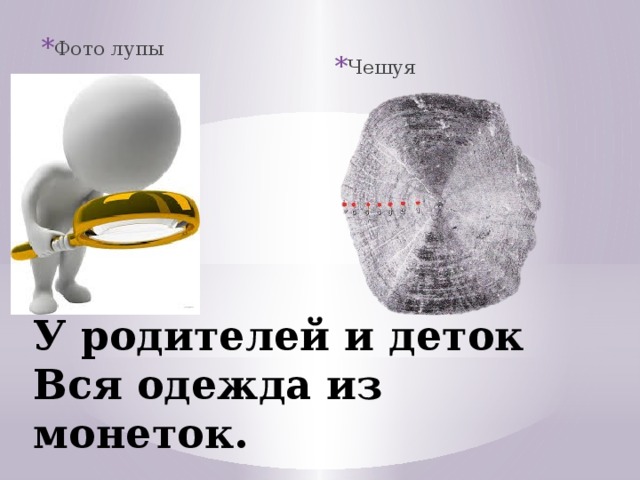 Фото лупы Чешуя https://encrypted-tbn0.gstatic.com/images?q=tbn:ANd9GcSFrmaJ428c04sCn8yEHACl_3FmHojXP50WDASoMhAaDNJKakhohA http://infofishing.ru/uploads/posts/2011-11/1321320086_06.jpg У родителей и деток  Вся одежда из монеток.    