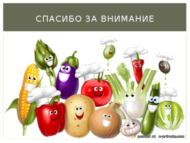 Спасибо за внимание  
