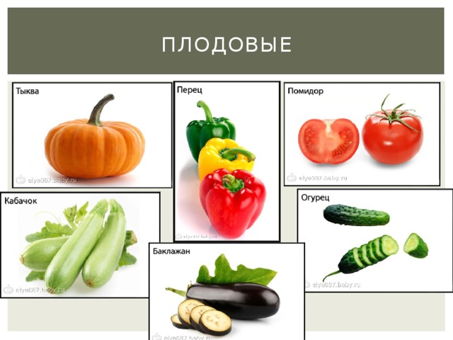 ПЛОДОВЫЕ В мире моды овощной Каждый блещет красотой. Фиолетовый кафтан Надевает... (баклажан)  