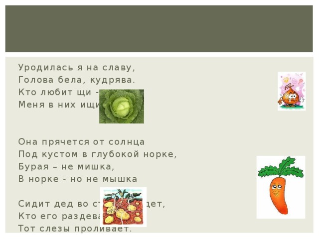 Уродилась я на славу, Голова бела, кудрява. Кто любит щи - Меня в них ищи Она прячется от солнца Под кустом в глубокой норке, Бурая – не мишка, В норке - но не мышка Сидит дед во сто шуб одет, Кто его раздевает, Тот слезы проливает.   Красна девица Сидит в темнице, А коса на улице. 