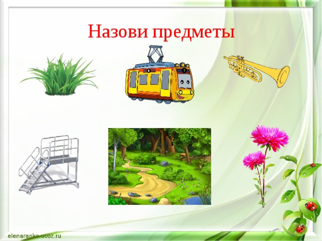 Назови предметы 