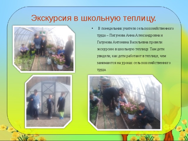 Экскурсия в школьную теплицу.  В понедельник учителя сельскохозяйственного труда – Пигунова Анна Александровна и Галунова Антонина Васильевна провели экскурсию в школьную теплицу. Там дети увидели, как дети работают в теплице, чем занимаются на уроках сельскохозяйственного труда. 