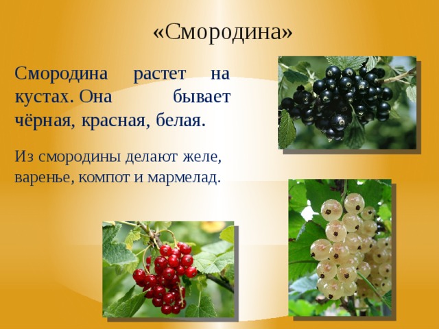 «Смородина» Смородина растет на кустах.   Она бывает чёрная, красная, белая.   Из смородины делают желе, варенье, компот и мармелад. 