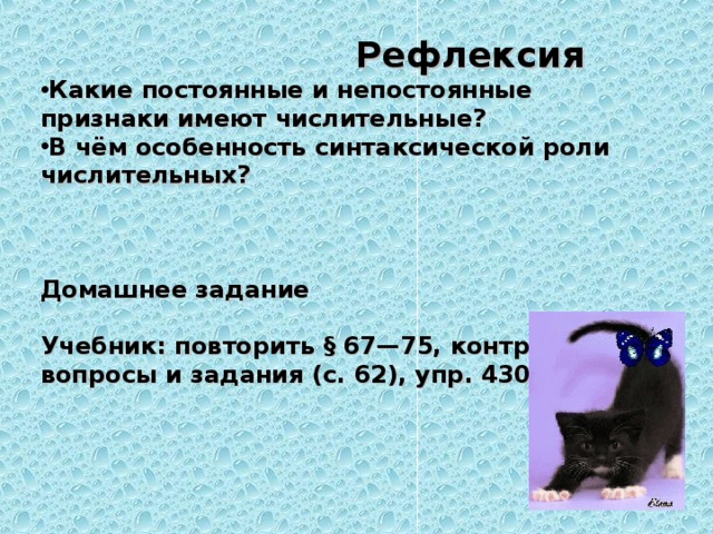  Рефлексия Какие постоянные и непостоянные признаки имеют числительные? В чём особенность синтаксической роли числительных?   Домашнее задание Учебник: повторить § 67—75, контрольные вопросы и задания (с. 62), упр. 430.   