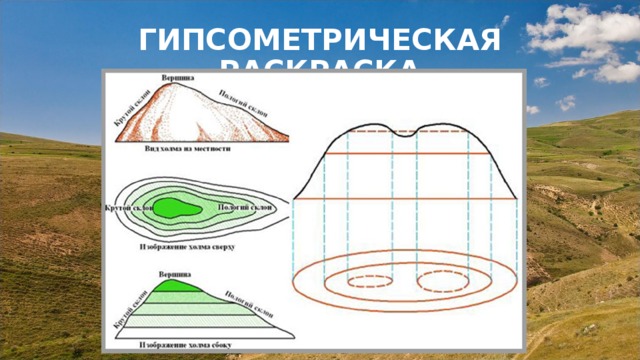 ГИПСОМЕТРИЧЕСКАЯ РАСКРАСКА 