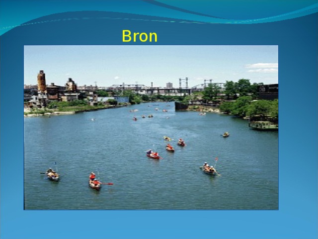 Bronx 