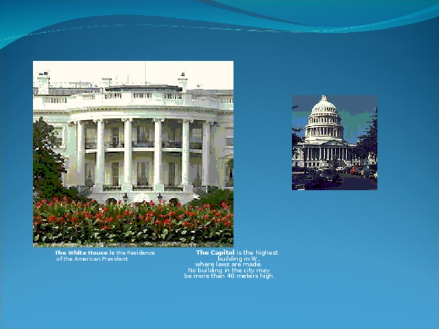 The White House is the Residence  The Capitol is the highest  of the American President .  building in W.,  where laws are made.  No building in the city may  be more than 40 meters high.     