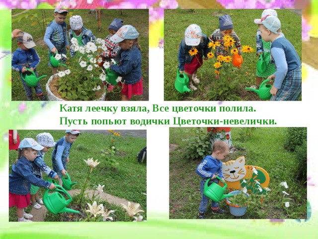Катя леечку взяла, Все цветочки полила.  Пусть попьют водички Цветочки-невелички. Поливаем цветы  