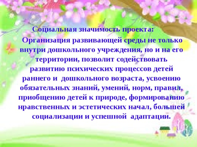  Социальная значимость проекта:  Организация развивающей среды не только внутри дошкольного учреждения, но и на его территории, позволит содействовать развитию психических процессов детей раннего и дошкольного возраста, усвоению обязательных знаний, умений, норм, правил, приобщению детей к природе, формированию нравственных и эстетических начал, большей социализации и успешной адаптации.  