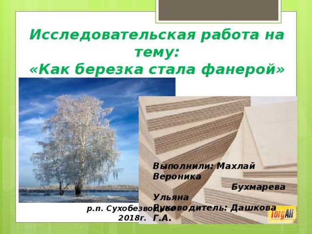 Исследовательская работа на тему:  «Как березка стала фанерой» Выполнили: Махлай Вероника  Бухмарева Ульяна Руководитель: Дашкова Г.А. р.п. Сухобезводное 2018г. 