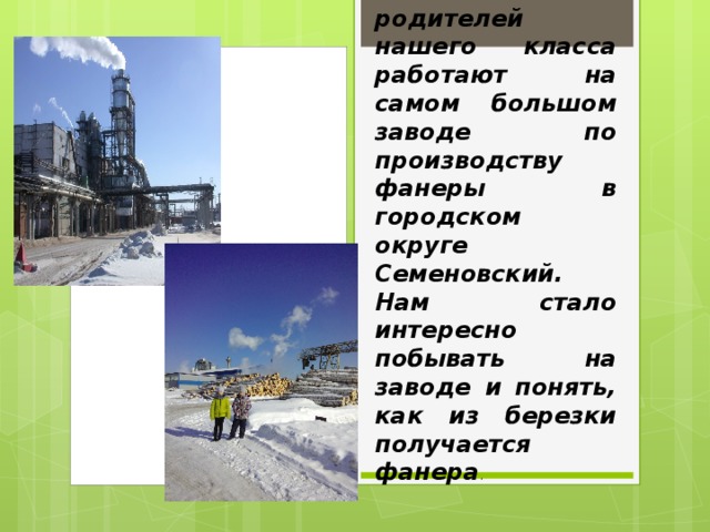 Большинство родителей нашего класса работают на самом большом заводе по производству фанеры в городском округе Семеновский. Нам стало интересно побывать на заводе и понять, как из березки получается фанера . 