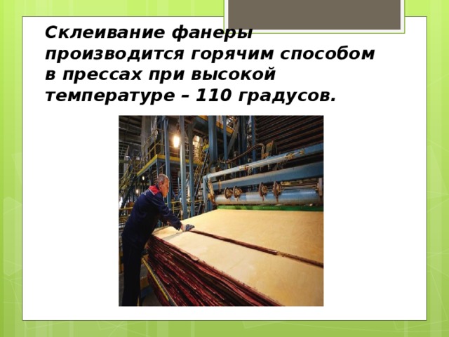 Склеивание фанеры производится горячим способом в прессах при высокой температуре – 110 градусов. 