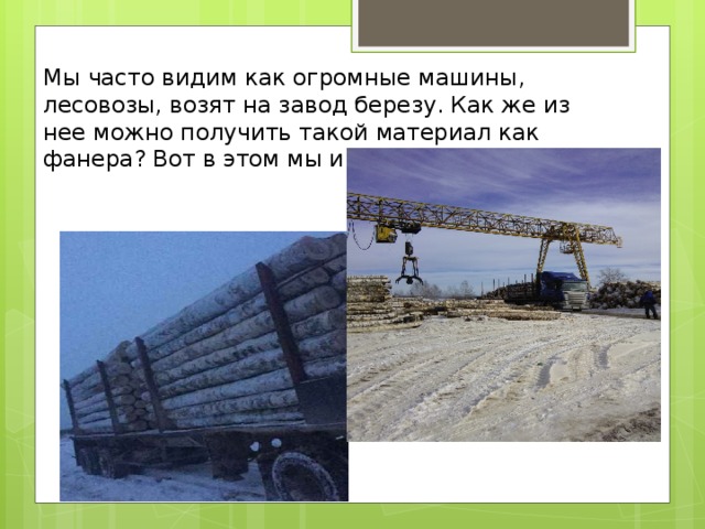Мы часто видим как огромные машины, лесовозы, возят на завод березу. Как же из нее можно получить такой материал как фанера? Вот в этом мы и разберемся.   