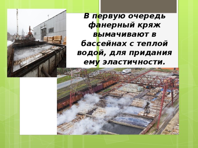 В первую очередь фанерный кряж вымачивают в бассейнах с теплой водой, для придания ему эластичности. 