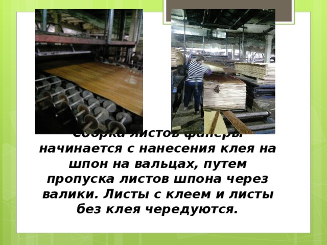 Сборка  листов фанеры начинается с нанесения клея на шпон на вальцах, путем пропуска листов шпона через валики. Листы с клеем и листы без клея чередуются.   