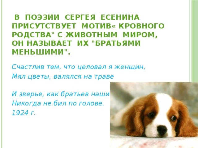  В поэзии Сергея Есенина присутствует мотив« кровного родства
