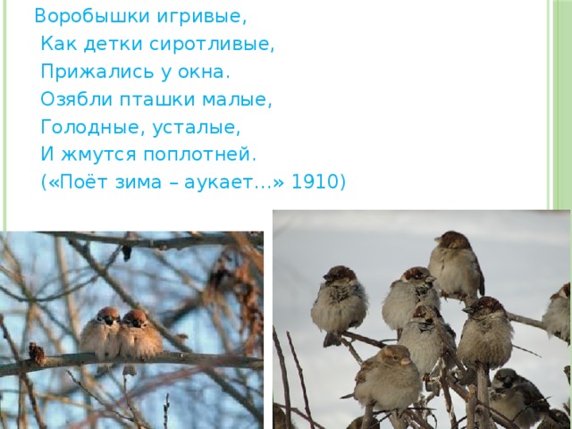 Воробышки игривые,  Как детки сиротливые,  Прижались у окна.  Озябли пташки малые,  Голодные, усталые,  И жмутся поплотней.  («Поёт зима – аукает…» 1910) 