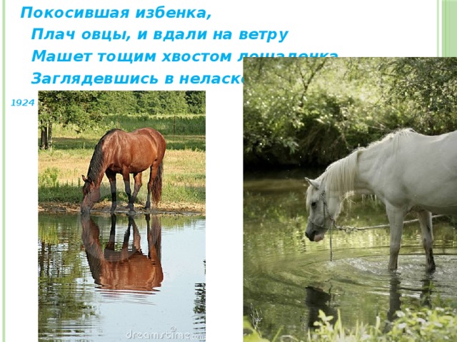  Покосившая избенка,  Плач овцы, и вдали на ветру  Машет тощим хвостом лошаденка,  Заглядевшись в неласковый пруд.   1924 г. 