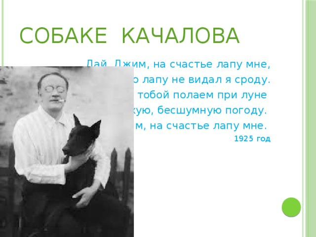 Собаке Качалова  Дай, Джим, на счастье лапу мне,  Такую лапу не видал я сроду.  Давай с тобой полаем при луне  На тихую, бесшумную погоду.  Дай, Джим, на счастье лапу мне. 1925 год 