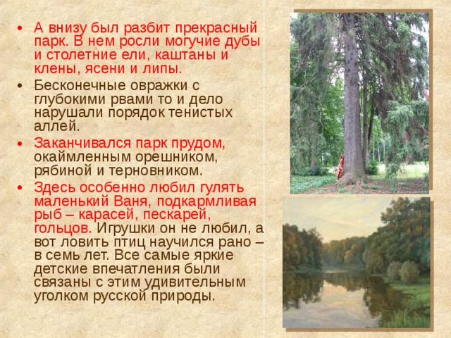 А внизу был разбит прекрасный парк. В нем росли могучие дубы и столетние ели, каштаны и клены, ясени и липы. Бесконечные овражки с глубокими рвами то и дело нарушали порядок тенистых аллей. Заканчивался парк прудом, окаймленным орешником, рябиной и терновником. Здесь особенно любил гулять маленький Ваня, подкармливая рыб – карасей, пескарей, гольцов. Игрушки он не любил, а вот ловить птиц научился рано – в семь лет. Все самые яркие детские впечатления были связаны с этим удивительным уголком русской природы. 