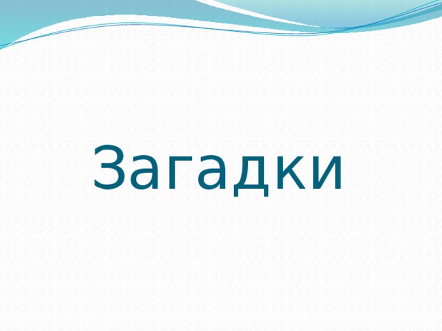       Загадки 