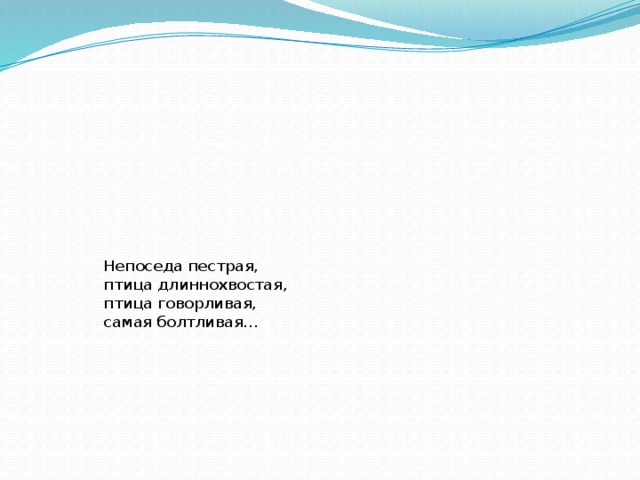 Непоседа пестрая,  птица длиннохвостая,  птица говорливая,  самая болтливая… 