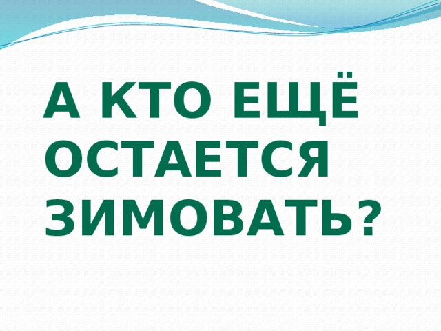 А кто ещё остается зимовать? 