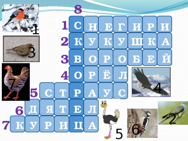8 1 С 1 И Р И Е Н Г 2 А Ш У К У К К 3 3 Б В О О Р Е Й 4 Р Ё Л О 7 4 5 С С Т Р А У Д Я 6 Е Т Л 2 7 У А Ц И Р К 6 5 