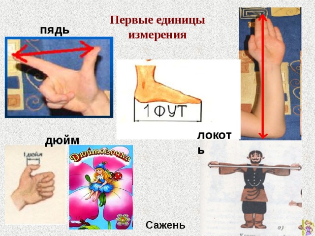  Сажень Первые единицы измерения пядь локоть дюйм 