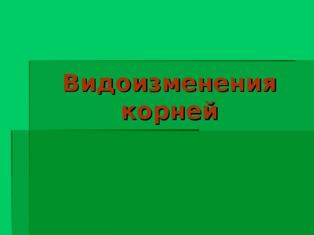 Видоизменения корней 