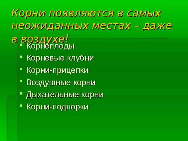 Корни появляются в самых неожиданных местах – даже в воздухе ! Корнеплоды Корневые клубни Корни-прицепки Воздушные корни Дыхательные корни Корни-подпорки 