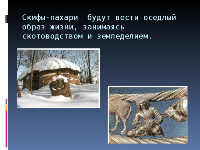 Скифы-пахари будут вести оседлый образ жизни, занимаясь скотоводством и земледелием. 
