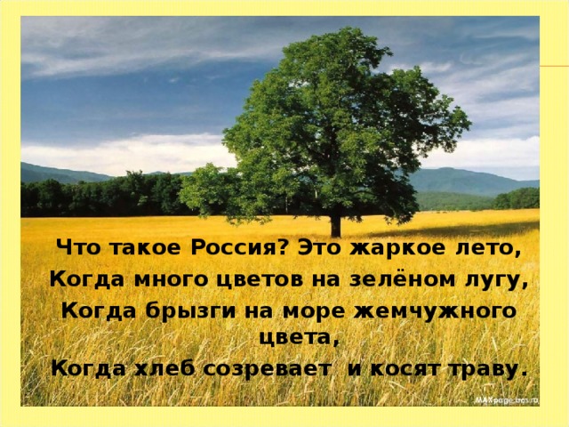 Что такое Россия? Это жаркое лето, Когда много цветов на зелёном лугу, Когда брызги на море жемчужного цвета, Когда хлеб созревает и косят траву. 