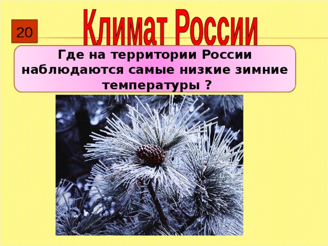20 Где на территории России наблюдаются самые низкие зимние температуры ?  