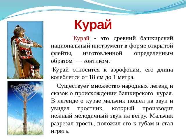 Курай  Курай - это древний башкирский национальный инструмент в форме открытой флейты, изготовленной  определенным образом  — зонтиком.   Курай относится к аэрофонам, его длина колеблется от 18 см до 1 метра.  Существует множество народных легенд и сказок о происхождении башкирского  курая. В легенде о курае мальчик пошел на звук и увидел тростник, который производит нежный мелодичный звук на ветру. Мальчик разрезал трость, положил его к губам и стал играть. 