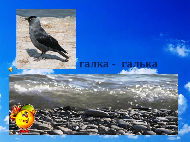 галка - галька 