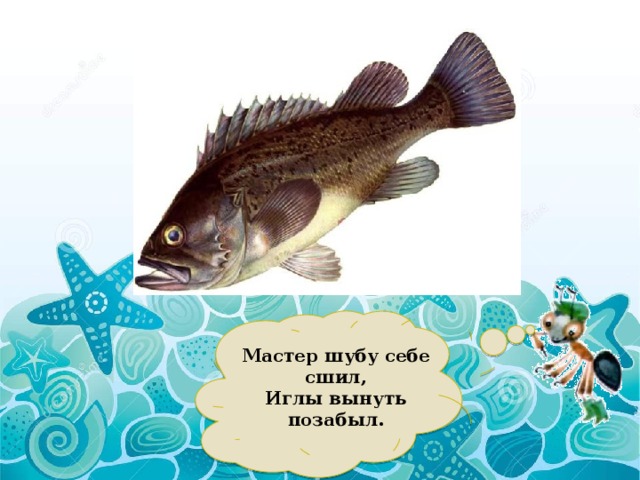 Мастер шубу себе сшил,  Иглы вынуть позабыл. 