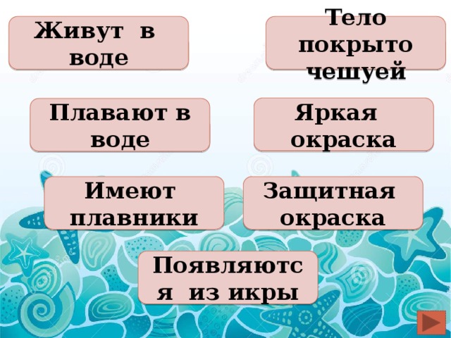 Живут в воде Тело покрыто чешуей Яркая окраска Плавают в воде Имеют плавники Защитная окраска Появляются из икры 
