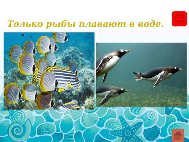Только рыбы плавают в воде. 