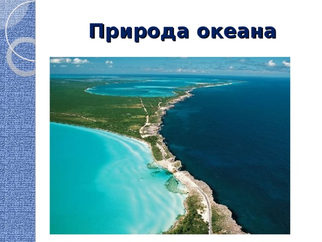 Природа океана 