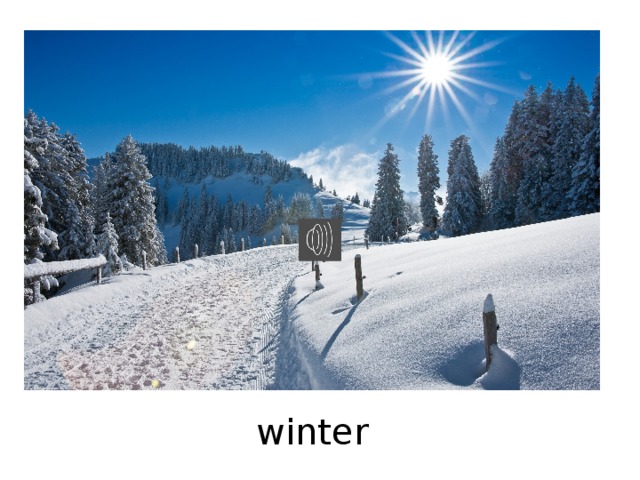winter 