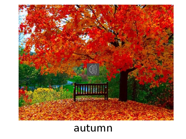 autumn 
