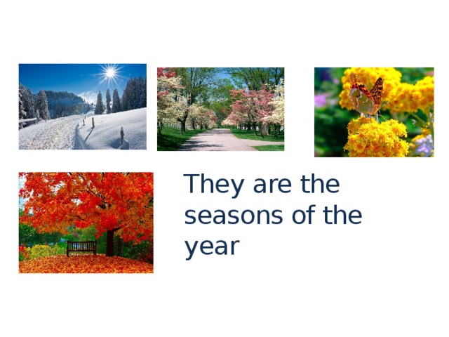 What are they together? They are the seasons of the year 