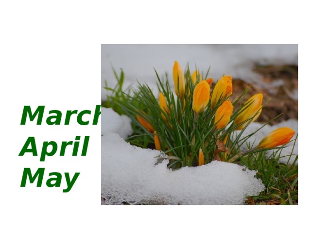 The spring months are  March April May 