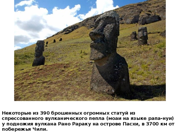 Некоторые из 390 брошенных огромных статуй из спрессованного вулканического пепла (моаи на языке рапа-нуи) у подножия вулкана Рано Рараку на острове Пасхи, в 3700 км от побережья Чили. 