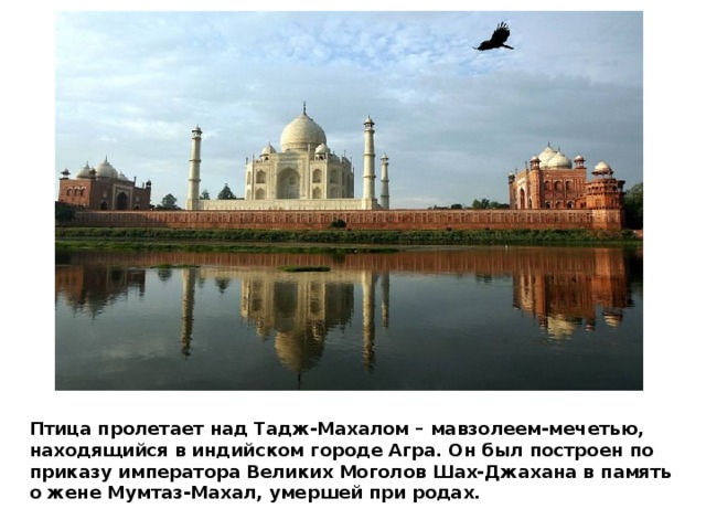 Птица пролетает над Тадж-Махалом – мавзолеем-мечетью, находящийся в индийском городе Агра. Он был построен по приказу императора Великих Моголов Шах-Джахана в память о жене Мумтаз-Махал, умершей при родах. 