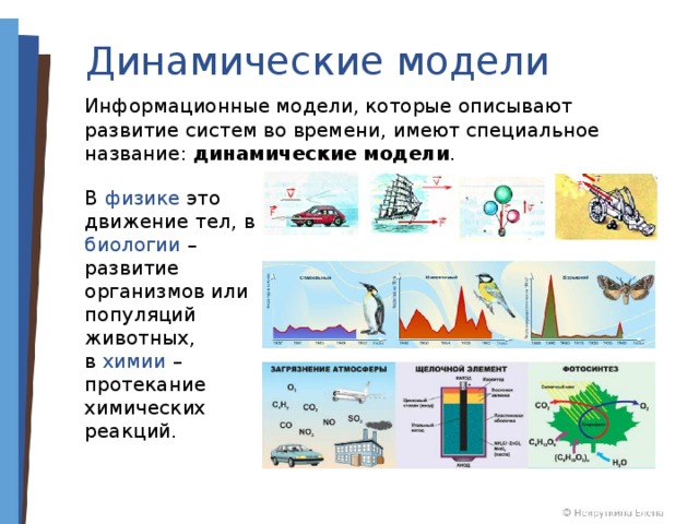 Динамические модели Информационные модели, которые описывают развитие систем во времени, имеют специальное название: динамические модели . В физике это движение тел, в биологии – развитие организмов или популяций животных, в химии – протекание химических реакций. 