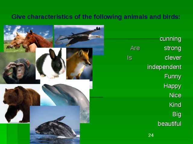 Give characteristics of the following animals and birds:     cunning Are strong Is clever  independent Funny Happy Nice Kind Big beautiful