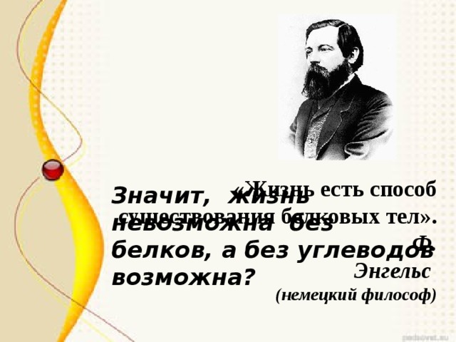 «Жизнь есть способ существования белковых тел». Ф. Энгельс (немецкий философ) Значит, жизнь невозможна без белков, а без углеводов возможна? 